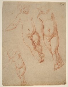 キリストの子の研究、1513–14（紙にチョーク） 作： Raffaello Sanzio Raphael